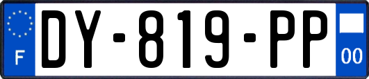 DY-819-PP