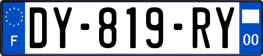 DY-819-RY