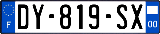 DY-819-SX