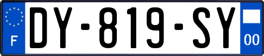 DY-819-SY