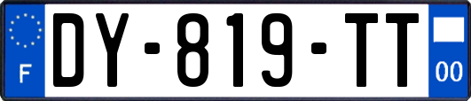 DY-819-TT