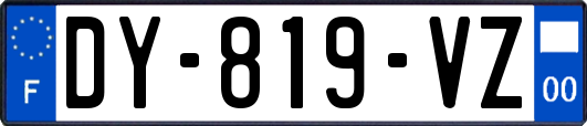 DY-819-VZ