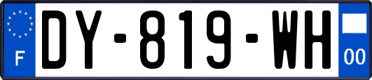 DY-819-WH