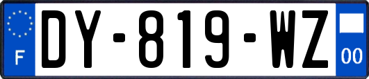 DY-819-WZ