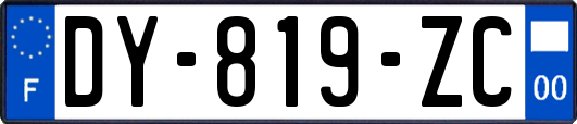 DY-819-ZC