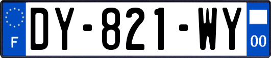 DY-821-WY