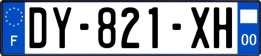 DY-821-XH