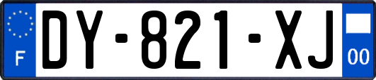 DY-821-XJ