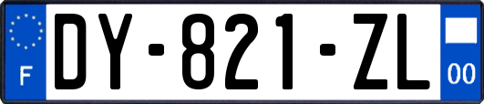 DY-821-ZL