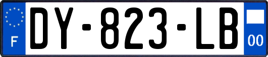 DY-823-LB