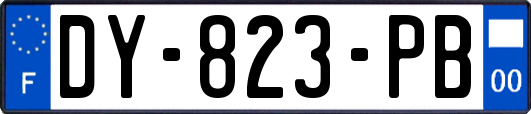 DY-823-PB