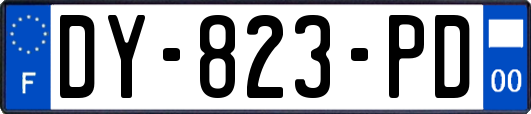 DY-823-PD