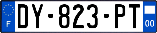 DY-823-PT