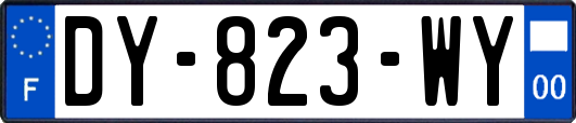 DY-823-WY