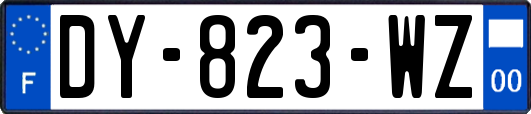 DY-823-WZ