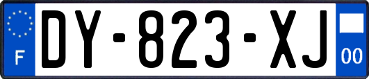 DY-823-XJ