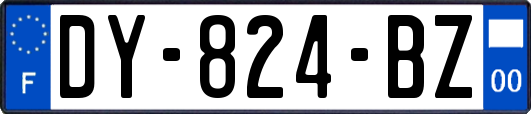DY-824-BZ