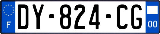 DY-824-CG