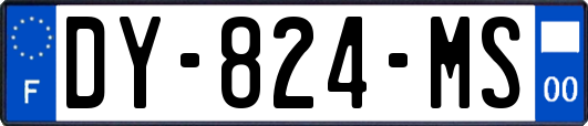 DY-824-MS