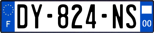 DY-824-NS