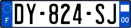 DY-824-SJ