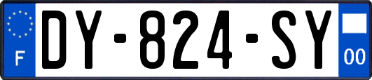 DY-824-SY