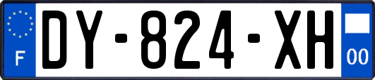 DY-824-XH