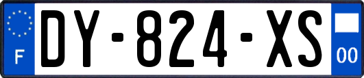 DY-824-XS