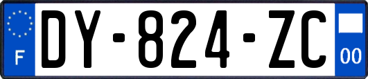 DY-824-ZC