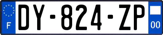 DY-824-ZP