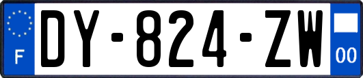 DY-824-ZW