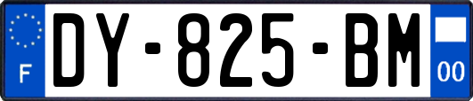 DY-825-BM