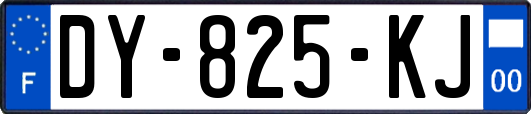 DY-825-KJ