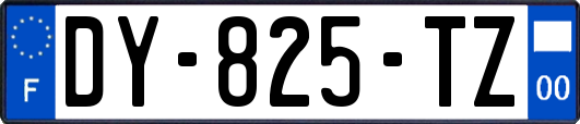 DY-825-TZ