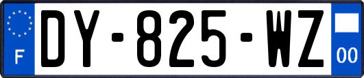 DY-825-WZ