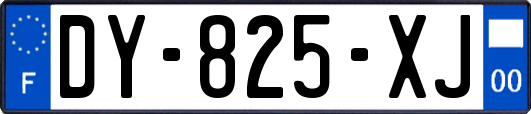 DY-825-XJ