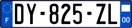 DY-825-ZL