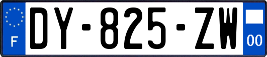 DY-825-ZW