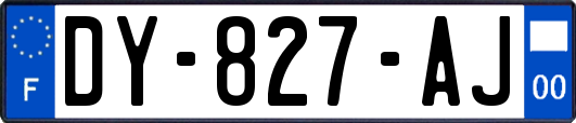 DY-827-AJ