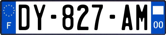 DY-827-AM