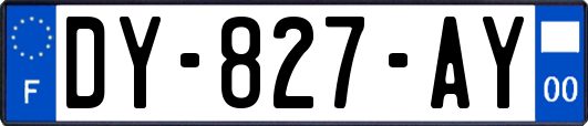 DY-827-AY