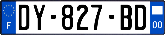 DY-827-BD