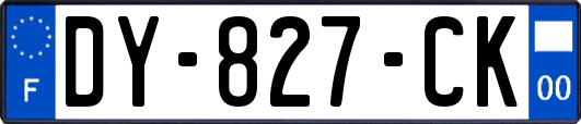 DY-827-CK