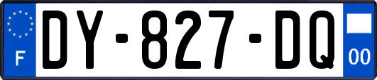 DY-827-DQ