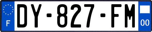 DY-827-FM