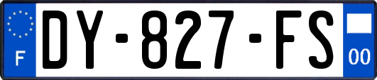 DY-827-FS