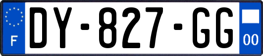 DY-827-GG