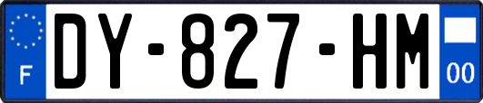 DY-827-HM