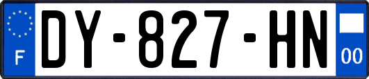 DY-827-HN