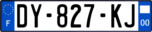 DY-827-KJ